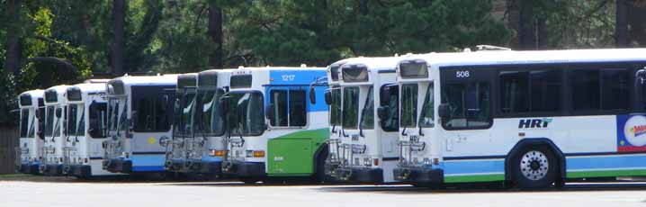 Hampton Roads Transit Gilligs